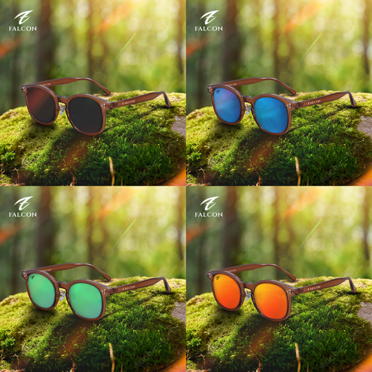 1 SET - FV-V1BR (4 Sunglasses ) | Free Shipping