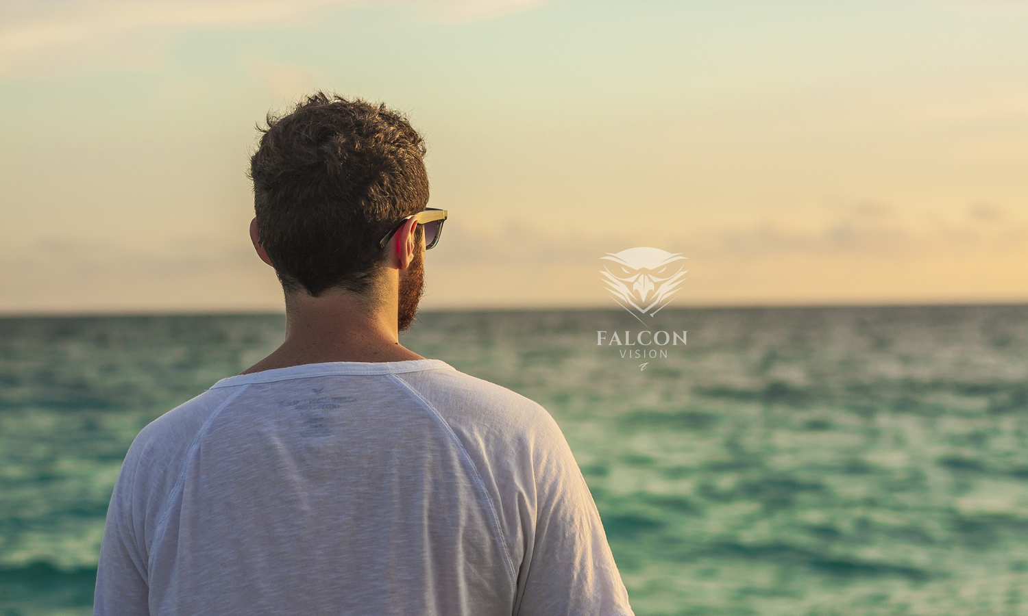 Falcon Vision